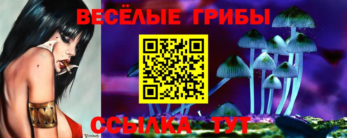 Псилоцибиновые грибы прущие грибы  Вход с VPN  Ялта 